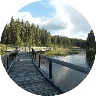 Hiking trail in Waskesiu